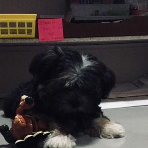 Meet your Posher, Christine